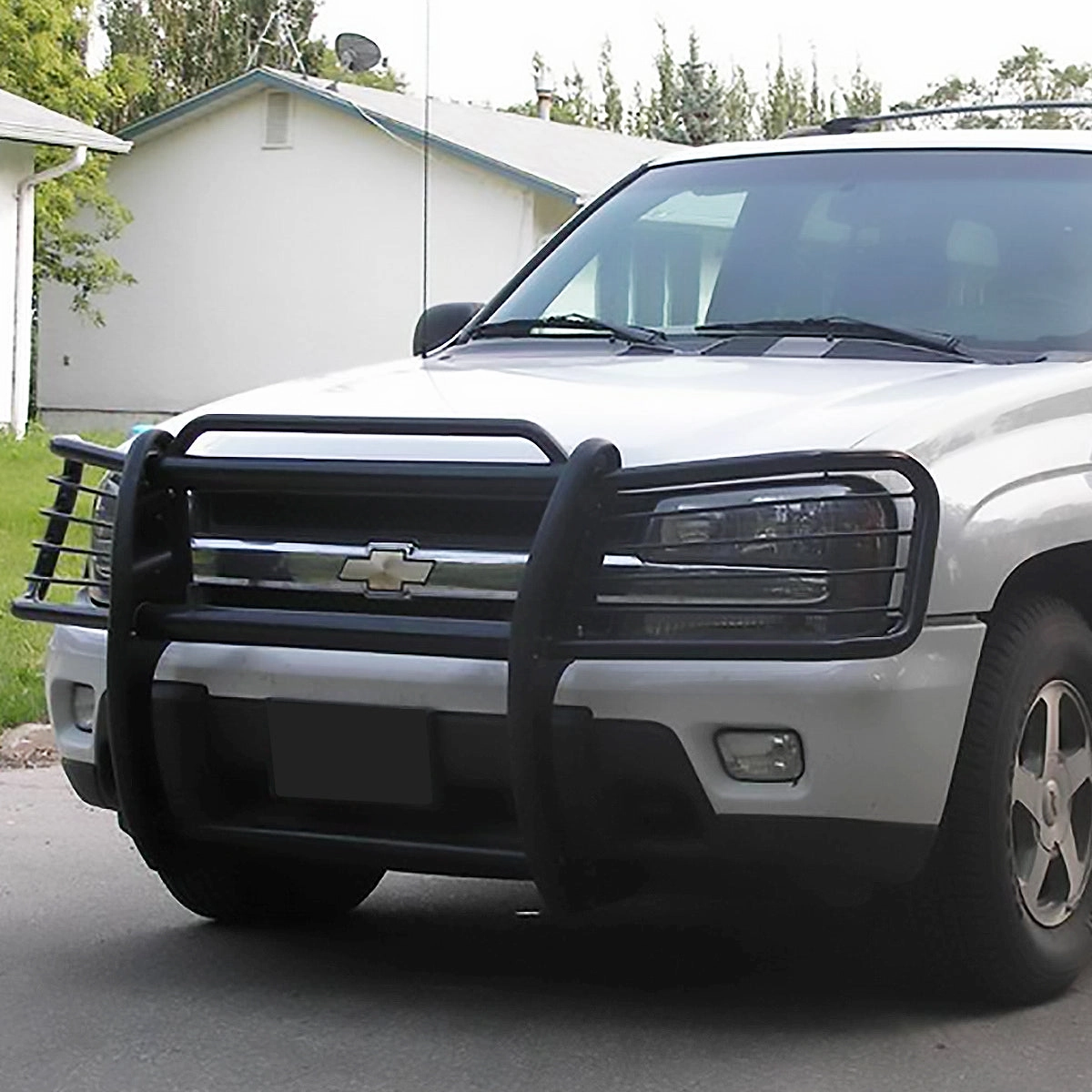 02-09 Chevy Trailblazer EXT Brush Grille Guard - Steel - Black