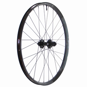 Race Face Aeffect-R 29" Rear Wheel 12x157 SB HG Black