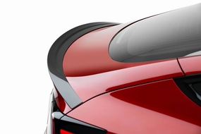 Tesla Model 3 Premium Dry Carbon Fiber Spoiler 2019 