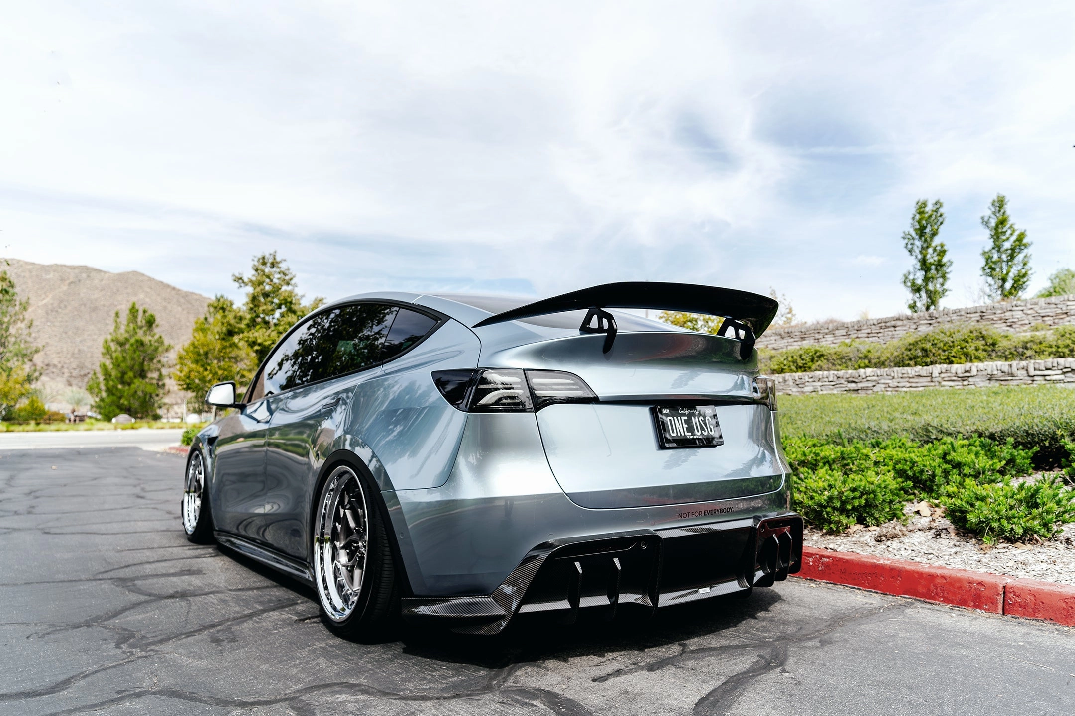 Tesla Model Y Dry Carbon Fiber AT-S Swan Neck Wing 2022 